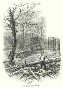 Rydning af rammen (gravering) af English School