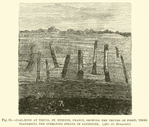 Coal-mine at Treuil, St Etienne, France, showing the trunks of fossil trees traversing the overlying strata of sandstone  af English School
