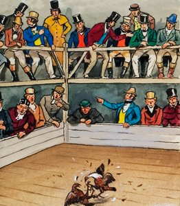 Hanekamp af English School