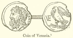 Venusias mønt af English School