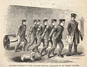 Sträflinge bei der Gartenarbeit, bewacht von einem bewaffneten Wärter, Illustration aus The Criminal Prisons of London and Scenes from Prison Life von Henry Mayhew und John Binny, veröffentlicht 1862 von English School