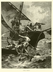 Koral fiskeri af English School