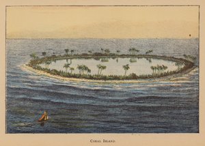 Coral Island (farvelitografi) af English School