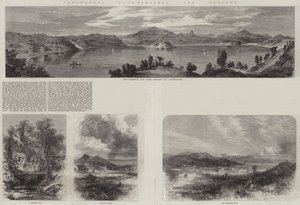 Coromandel Gold-Diggings, New Zealand (gravering) af English School