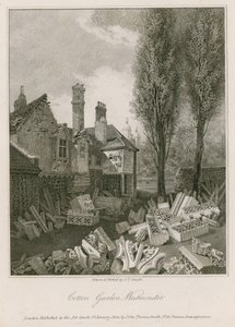 Cotton Garden in Westminster von English School