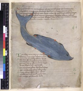 Cotton Tiberius B. V, Del I Fol.38V Konstellationen af ​​Del.38V Konstellationen af ​​Del.S Aratus 