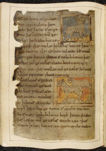 Bomuld Vitellius A. XV f.98v, Et enkelt hornet får, vendt mod højre; to hornede får, vendt mod venstre, fra Beowulf, fra 