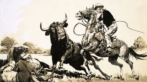 Cowboys i den australske outback forsøger at reb en tyr af English School