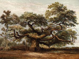 Crouch Oak, Addlestone af English School