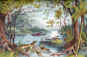 David Livingstones skib The Ma-Robert på Zambezi-floden, Afrika, under hans Zambezi-ekspedition i det 19. århundrede. Fra The Life and Explorations of Dr. Livingstone udgivet c.1875. af English School