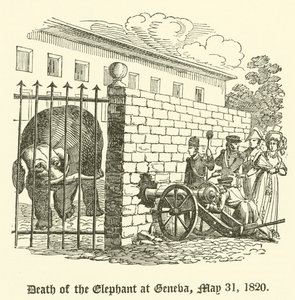 Elefantens død i Genève, 31. maj 1820 af English School