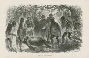 Gorillaens død af English School