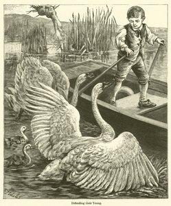 Defending their Young (gravering) af English School