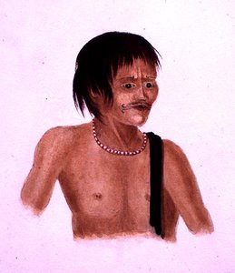 Demerara (akvarel på papir) af English School