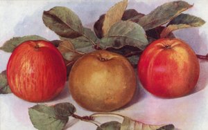 Dessertæbler (farve litho) af English School