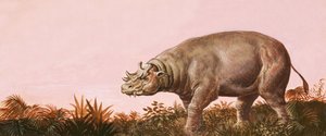 Dinosaurus af English School