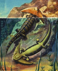 Diplocaulus af English School