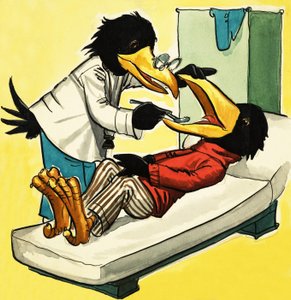 Doktor krage af English School