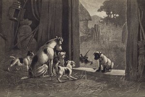 Hund (chromolitho) af English School