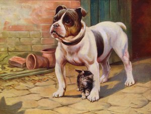 Hund og killing (farve litho) af English School