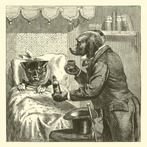 Hund gibt kranker Katze Pillen von English School