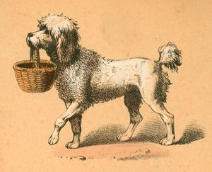 Hund med kurv af English School