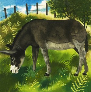 Æsel af English School