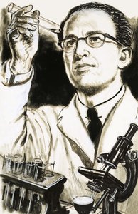 Dr. Jonas Salk, skaberen af poliovaccinen, ser på et reagensglas af English School
