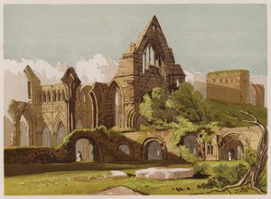Dryburgh Abbey (farve litho) af English School