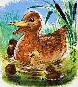 Ænder af English School