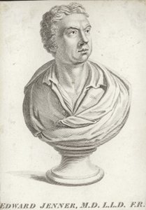 Edward Jenner af English School