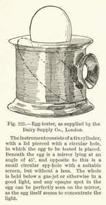 Æggetester, som leveret af Dairy Supply Company, London af English School