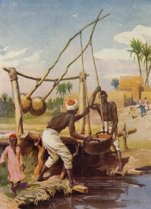 Egyptisk vandbrønd (farve litho) af English School