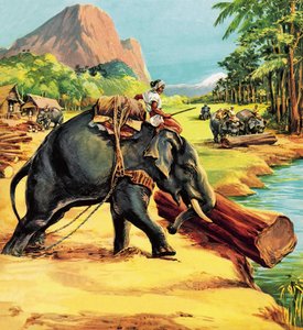 Elefant. Illustration fra Elephant Bill af Liuet. Oberst J. H. Williams