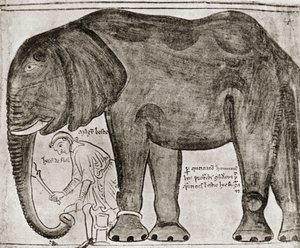 Elefant sendt af St Louis til Henry III, fra 