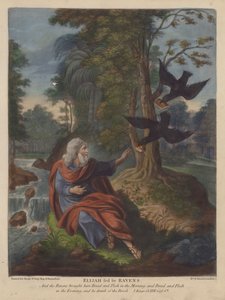 Elias fodret af Ravens (farve litho) af English School