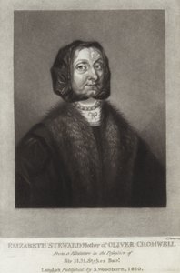 Elizabeth Steward af English School