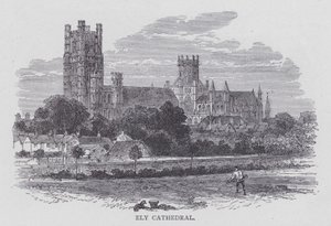 Ely Cathedral (gravering) af English School