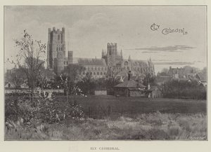 Ely Cathedral (litho) af English School
