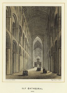 Ely-katedralen, skib af English School