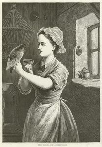 Emma tending the wounded pigeon  af English School