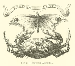Kejser Augustus af English School