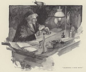 Undersøgelse af et stort møl (gravering) af English School
