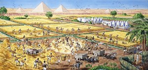 Landbrug i Egypten af English School