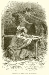 Faxiba, bagefter Fide-Yosi af English School