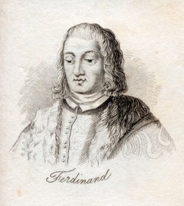 Ferdinand V, konge af Castilla, fra 