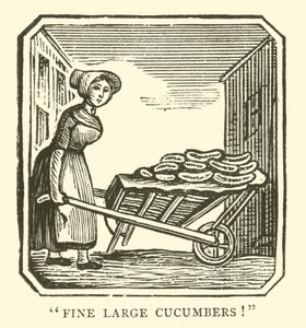 Feine große Gurken (Holzschnitt)