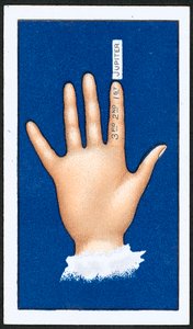 First Finger (farve litho) af English School