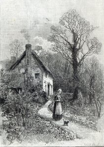 Første blomster, fra 