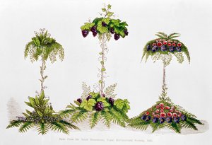 Første pris for borddekoration, Royal Horticultural Society, 1851 af English School
